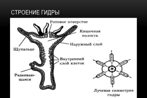 Кракен вход на сайт